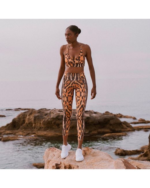 Befitnesslou Brown Leopard Animal Print Legging