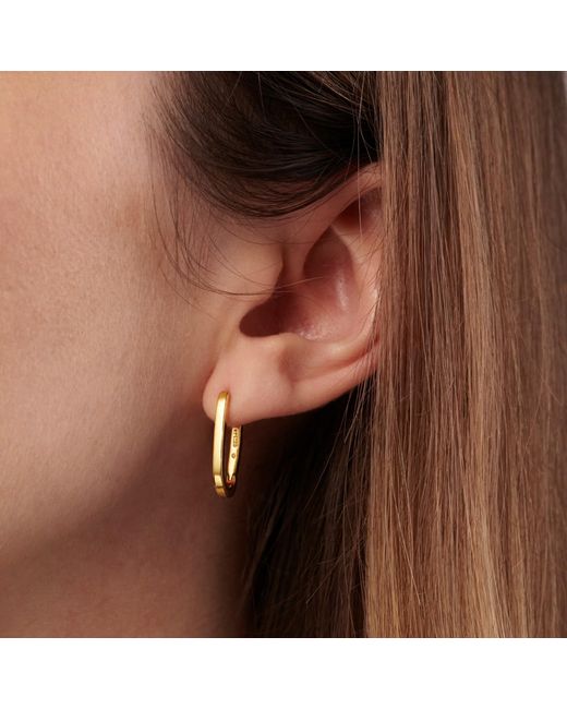 Posh Totty Designs Metallic Gold Plated Hinged Oval Link Hoop Earrings