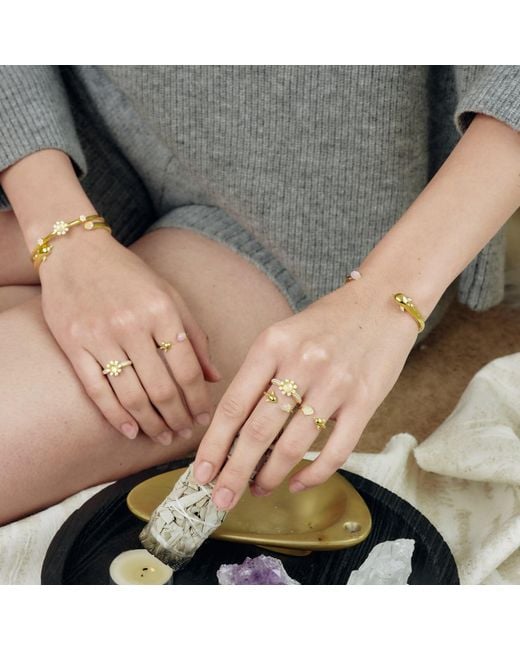Freqnc Atelier Metallic Dolphin Bangle