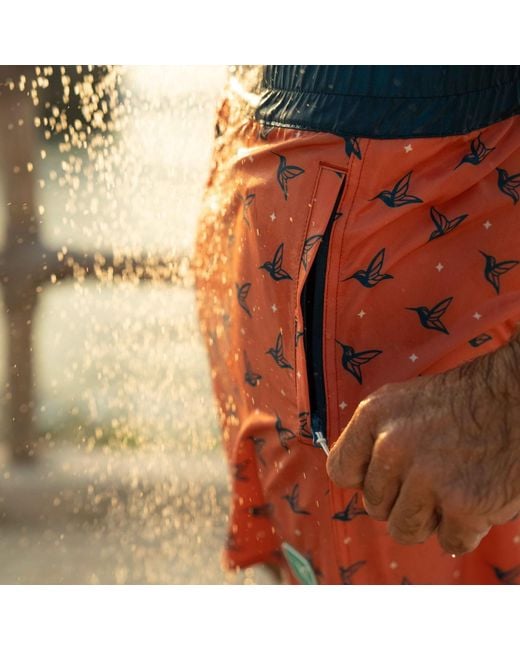 Live Kolibri Orange Luxury Swim Trunks for men