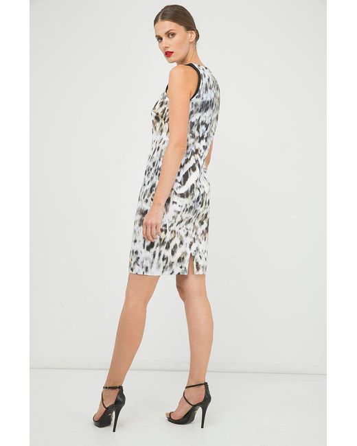 Conquista Black Print Sleeveless Dress With Contrast Detail