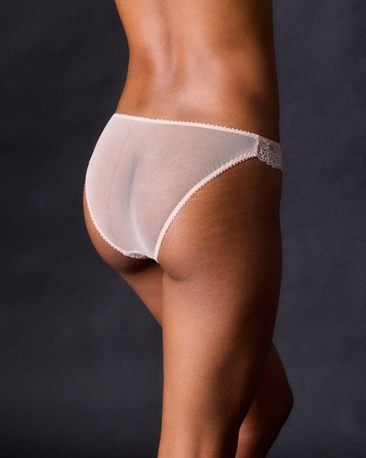 Journelle Natural Neutrals Chloe French Knicker Champagne Chamblis