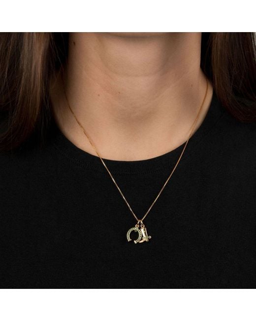 Belinda Jewelz Metallic Horse Shoe Charm