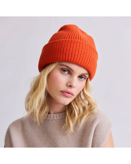 Arctic Fox & Co. Embroidered Merino Wool Beanie