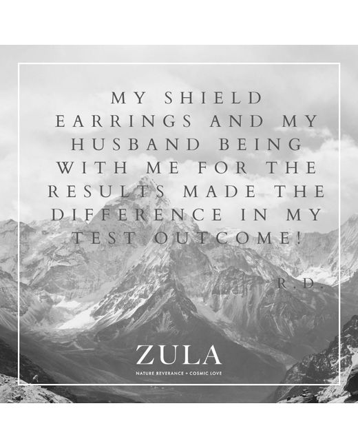 Zula Jewelry + Design Metallic Shield Stud Drop Earrings