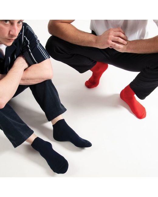 Peper Harow - Made in England Red Classic Luxury Crew & Trainer Socks Bundle for men