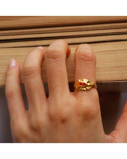 ASSUWA Metallic Eye Of Ra Citrine Ring