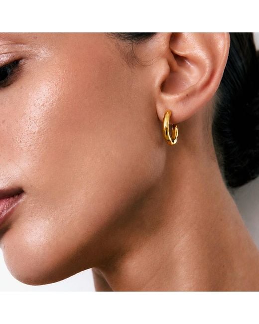 Serotonin Complice Metallic Plated Hoop Earrings
