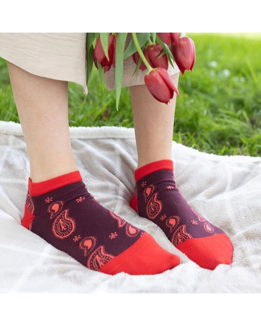 Peper Harow - Made in England Red Paisley Trainer Socks – Burgundy