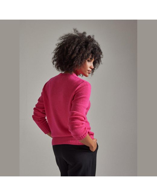 Salts Pink Lofty Knit Crew Neck Sweater