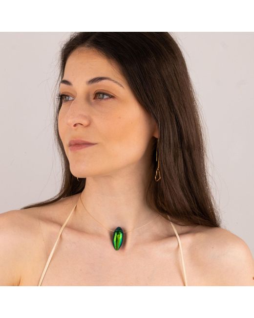 Oana Savu Metallic Beetle Real Insect Scarab Elegant Luxury Choker
