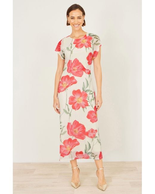 Yumi' Red Neutrals Ivory Poppy Print Midi Mesh Dress