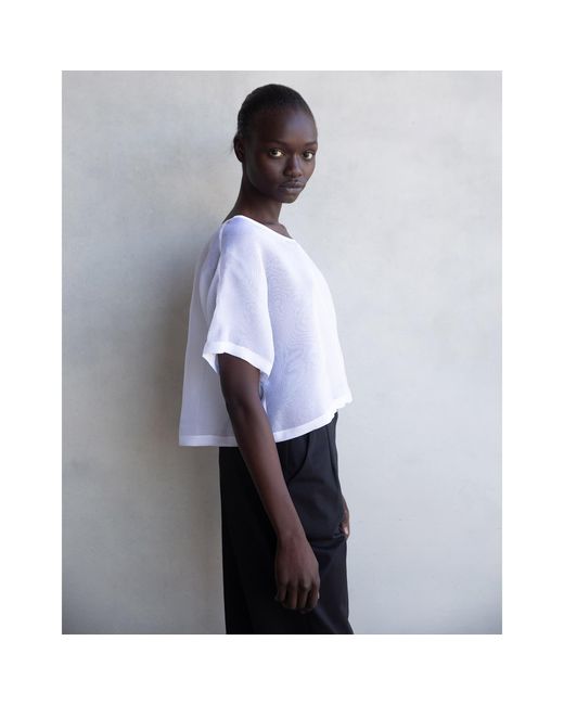 By Noa Rawitz Blue Silk Organza Boat Neckline Dolman Short Sleeves Top