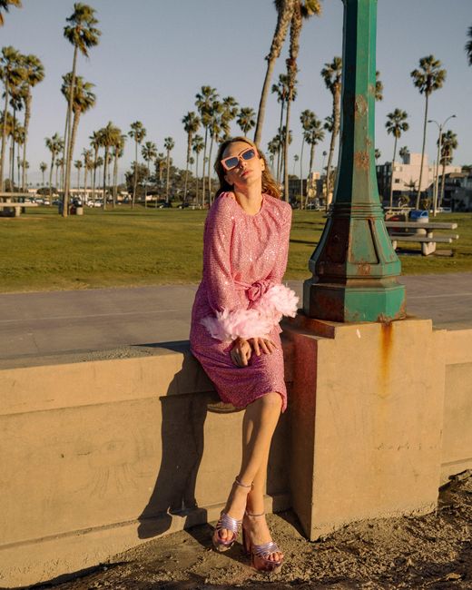 Jennafer Grace Pink Flamingo Sequin Raglan Dress