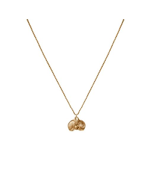Agora Jewellery Metallic Orchid Necklace