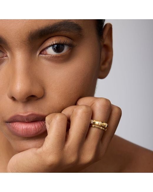 Vanhi Metallic Bamboo Chunky Crystal Ring