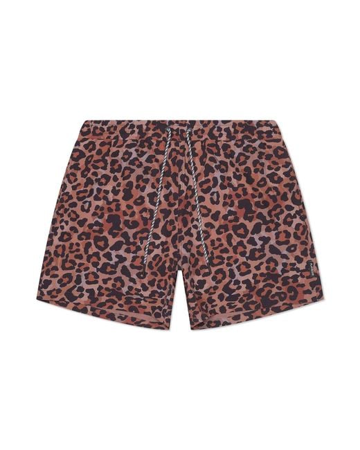 Playaluxe Red Tulum Volley Swim Trunk Leopard for men