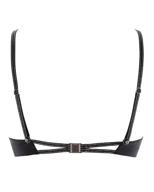 Bracli Black Destinos Dark Bra
