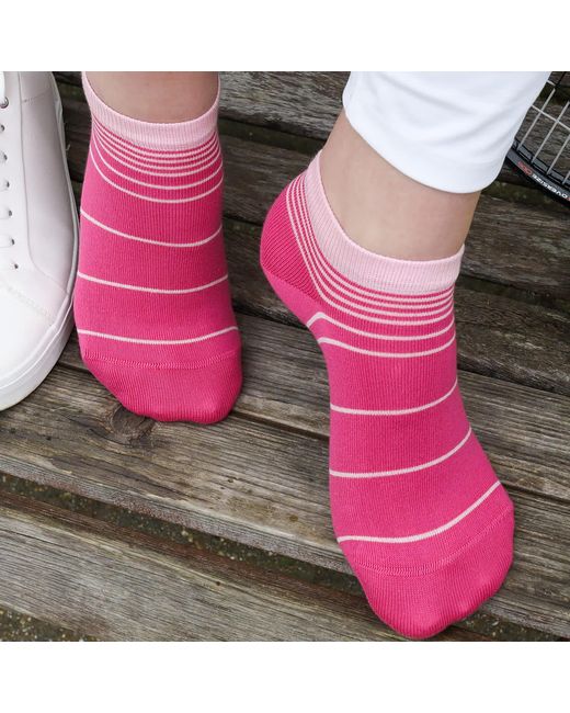 Peper Harow - Made in England Pink Retro Stripe Luxury Crew & Trainer Socks Bundle