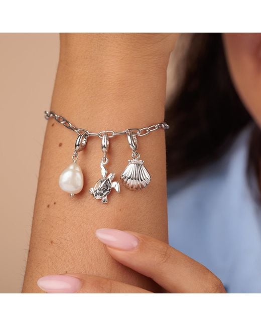Lily Charmed Metallic Sterling Ocean Oval Link Charm Bracelet