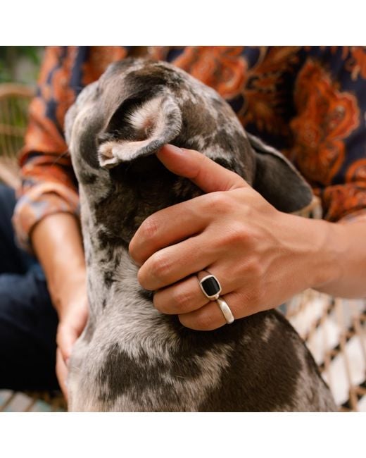 Coco & Kinney Metallic Sam Ring for men