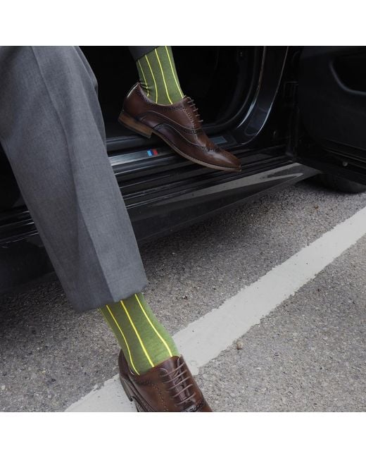 Peper Harow - Made in England Brown Pin Stripe Luxury Crew & Trainer Socks Bundle for men