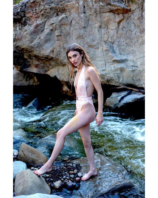 Catnip and Seaweed Multicolor The One-Piece Swimsuit