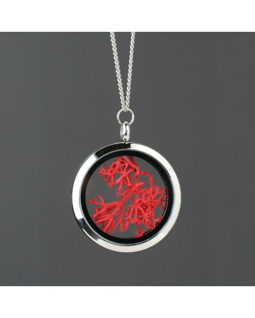My Little Nature Handmade Moss Pendant Necklace – Nature-Inspired Jewelry