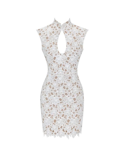 Miss Circle New York Metallic Quinley Cotton Lace Teardrop Neckline Mini Dress