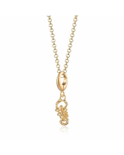 Lily Charmed Metallic Plated Scorpion Charm Necklace