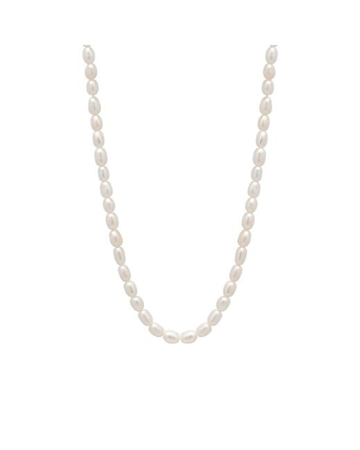 Spero London Metallic Natural Freshwater Real Seed Pearl Strand Necklace