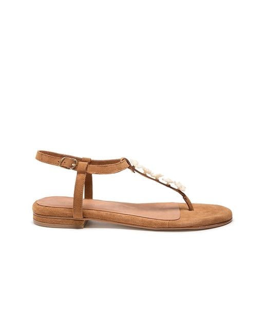 Naguisa Brown Savina Flower Camel