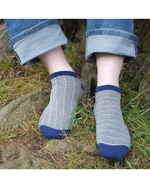 Peper Harow - Made in England Blue Thin Stripe & Dash Trainer Socks Bundle for men