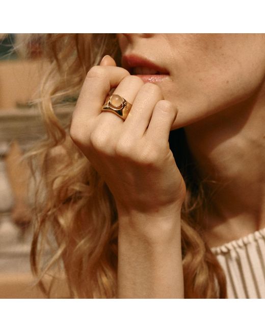 Retro Chic Metallic Neutrals Dawn Light Wide Ring