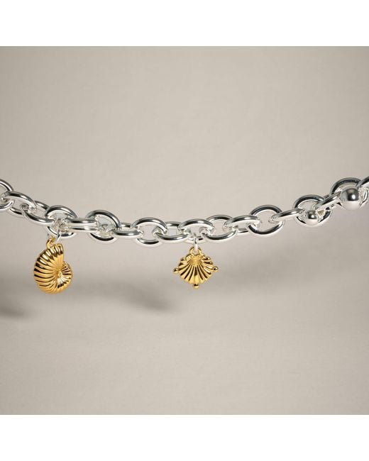 Potoska Metallic Coral Curb Necklace