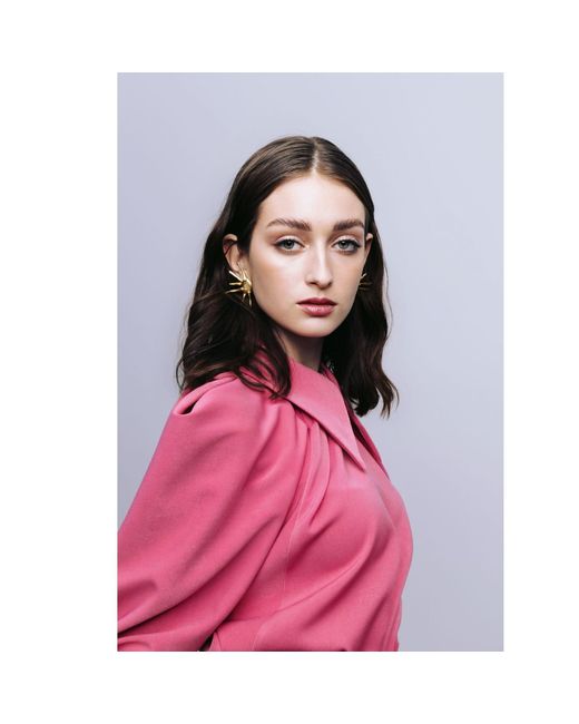 Julia Allert Pink Designer Puff Sleeve Blouse –