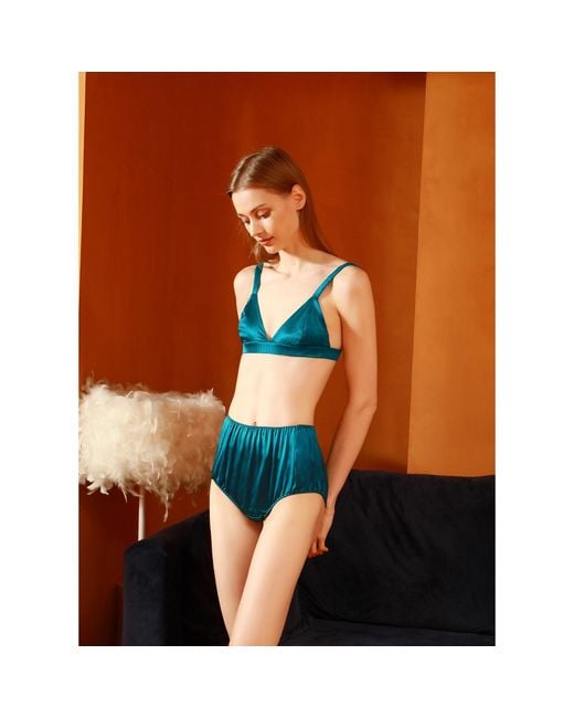 Soft Strokes Silk Blue Set Of Two Pure Mulberry Silk French Cut Panties