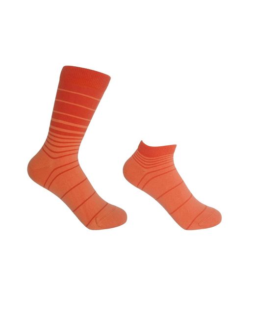 Peper Harow - Made in England Red Retro Stripe Luxury Crew & Trainer Socks Bundle