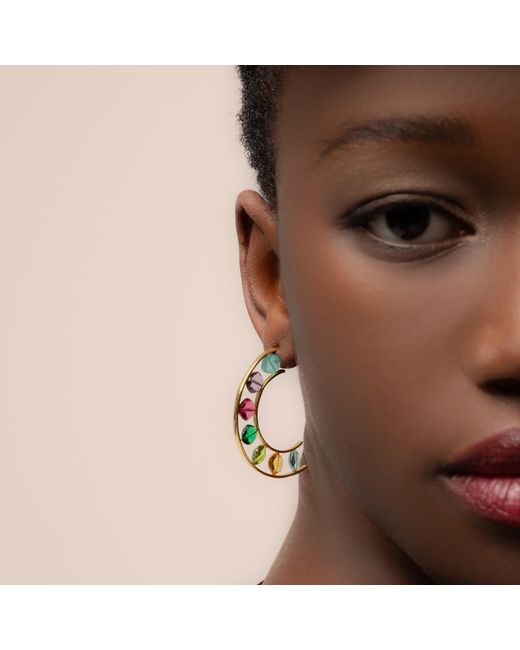 Lavani Jewels Metallic Plated Manhattan Hoops