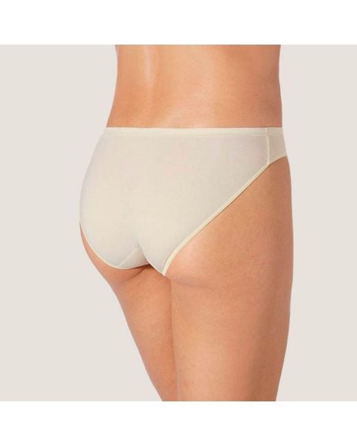 Zd - Zero Defects Natural Neutrals Venus Mini Brief – Comfortable Fit & Skin-Friendly Soy Fiber