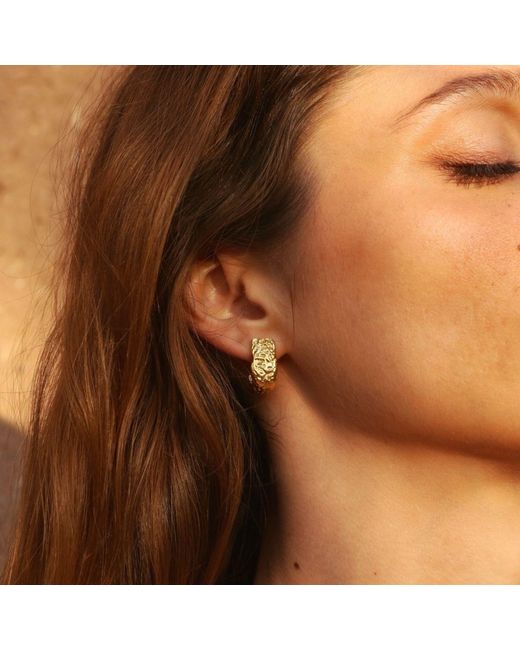ASSUWA Metallic Babylon Hoop Earrings