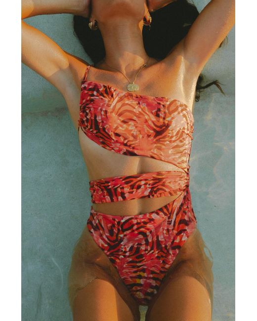 Wild Lovers Orange Heatwave Swimsuit