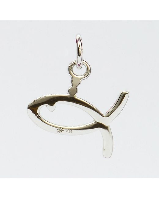 Pinnole Red Fish