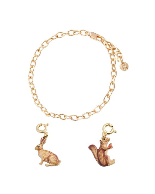 Fable England Metallic Cable Chain Bracelet With Enamel Rabbit Charm & Enamel Cheeky Squirrel Charm