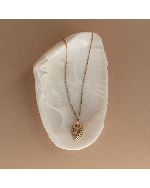 Zoe & Morgan Metallic Soul Paua Necklace