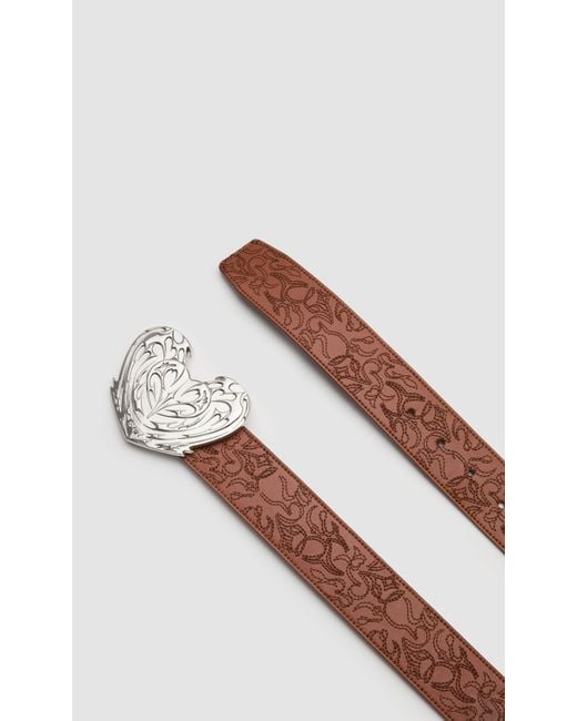 PREVU Brown Regan Belt