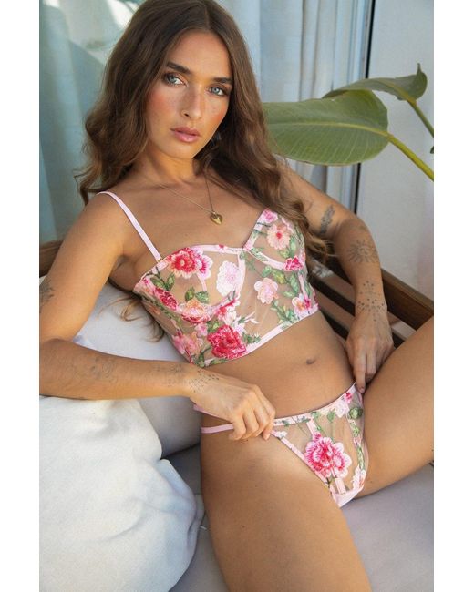 Wild Lovers Pink Aurora Thong