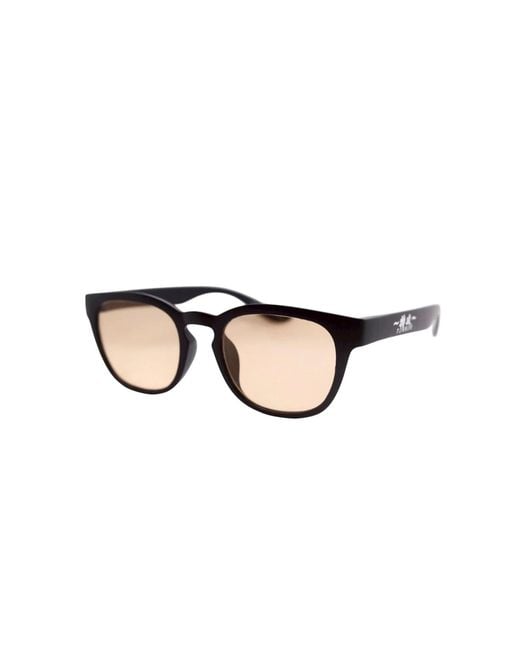 TOKKOU Brown Sustainable Recycled Sunglasses – Wellington Shape Clear