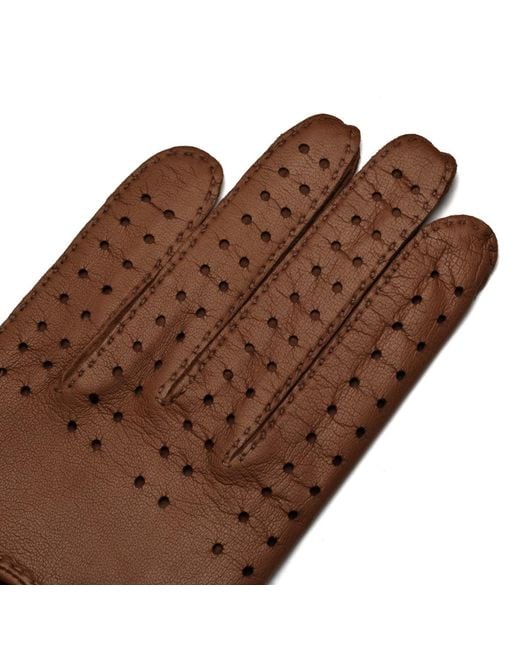 1861 Glove Manufactory Brown Monza for men