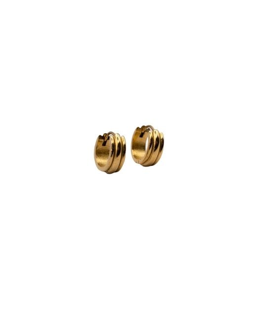 Isolated Jewellery Metallic Tamzin Huggies